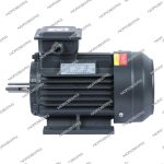 Мотор 220В для NGT20 — изображение 2