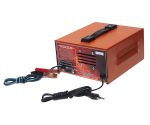 Зарядно-предпусковое импульсное устройство ЗПУ-ИМПУЛЬС 15 для АКБ 12V (0,4-15A) автомат 220V ТАМБОВ /1