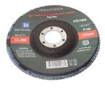 Круг лепестковый RF-FD5100H торцевой 125х22мм (P100,"мелкий шаг") ROCKFORCE /1/100 — изображение 2