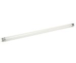 Лампа люминесцентная FT8 15W/33 холодный свет  (L 451,6мм) 220V CAMELION 1/25/200 — изображение 2