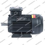 Мотор 380В для NGT30 — изображение 2